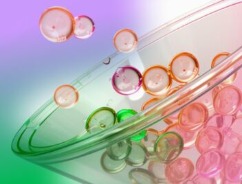 Как воронка продаж на маркетплейсе увеличивает прибыль