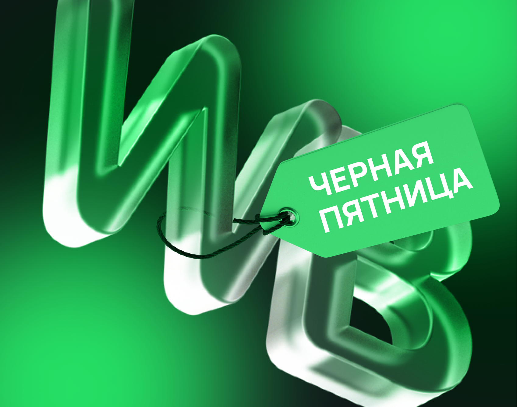 Черная пятница 2024 на Wildberries Черная пятница 2024 на Wildberries