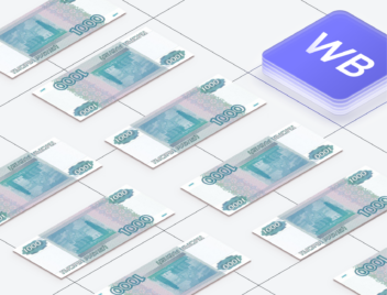 Платная приемка на Wildberries Платная приемка на Wildberries